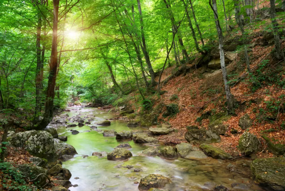 A Constitutional Right to Clean Air and Water in New Jersey?