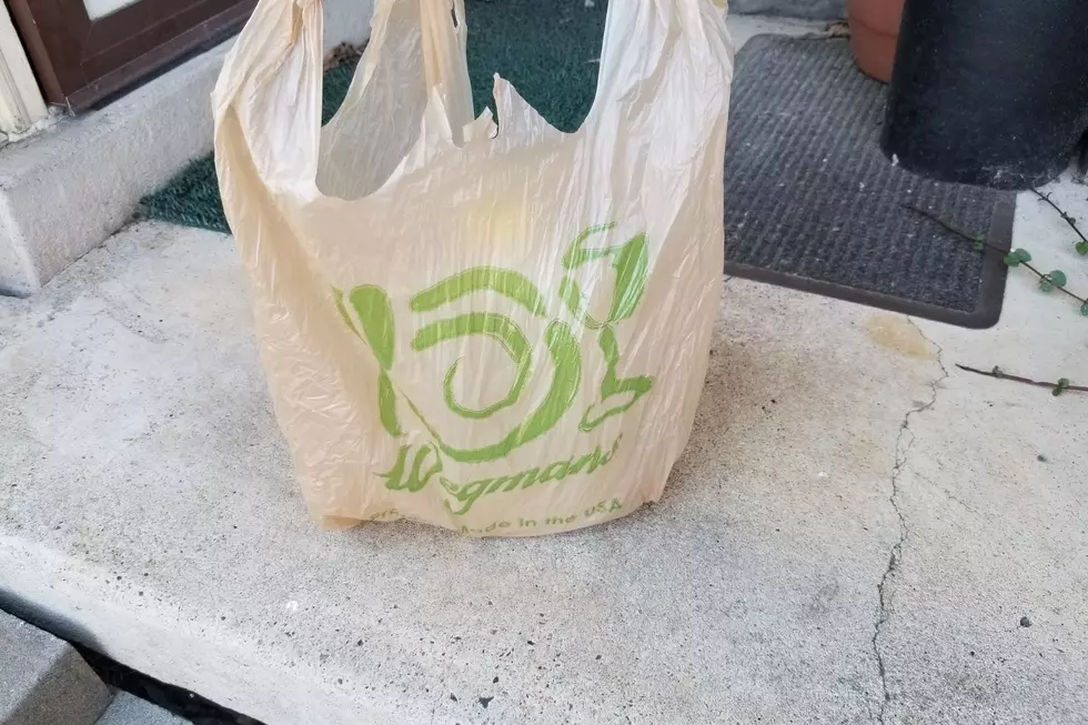 Why is NJ Banning Plastic Bags? There are 4.4 Billion Reasons