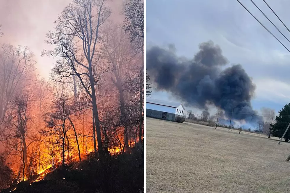 NJ wildfire season takes off with ‘suspicious’ blaze among 230 fires so far