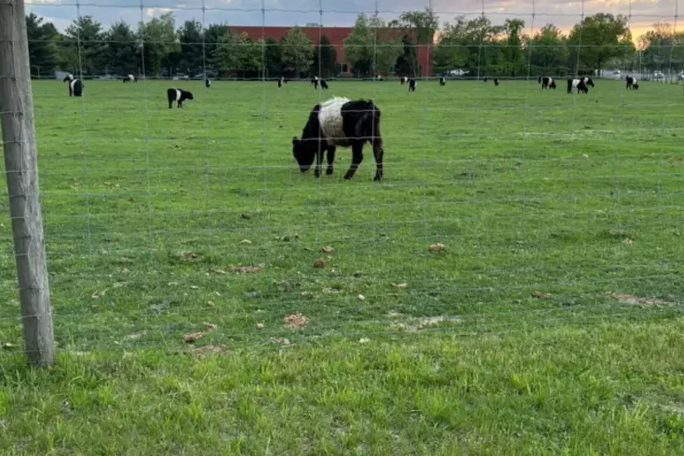 NJ council votes to steal 174-year-old family farm for ‘affordable housing’ mandate