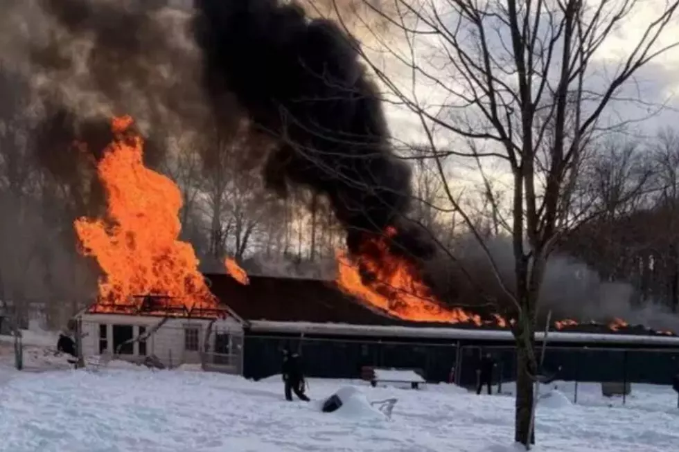 UPDATE: Fire kills 6 dogs at Sussex County shelter