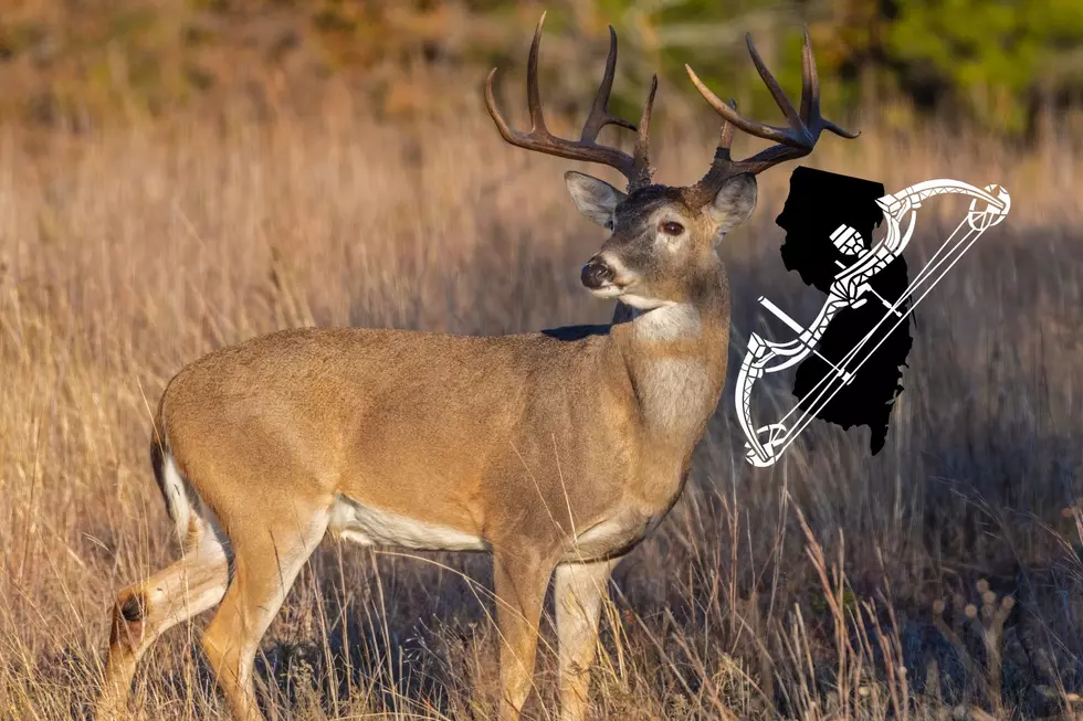 South Jersey Hunting: Winter Bow Season Underway