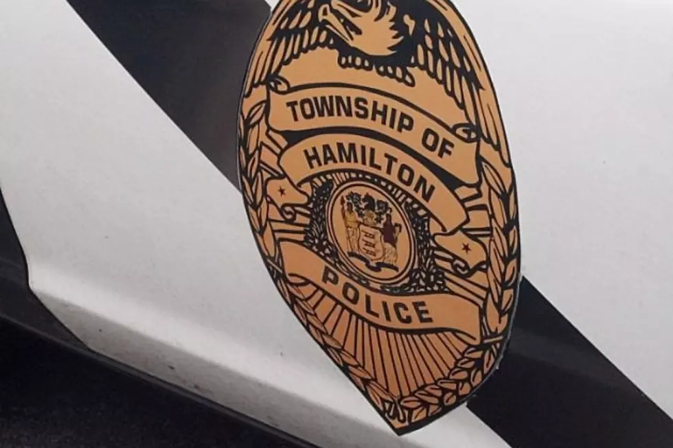 Traffic Stop in Hamilton Twp. Leads to 3 Guns, 1 Arrest, 1 Wanted