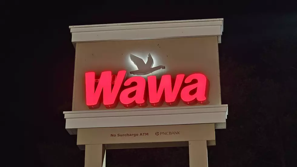 Wawa Fans Reveal the Biggest Changes They Want to See