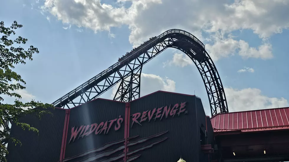 15 Fun Summer Day Trips from South Jersey on One Tank of Gas