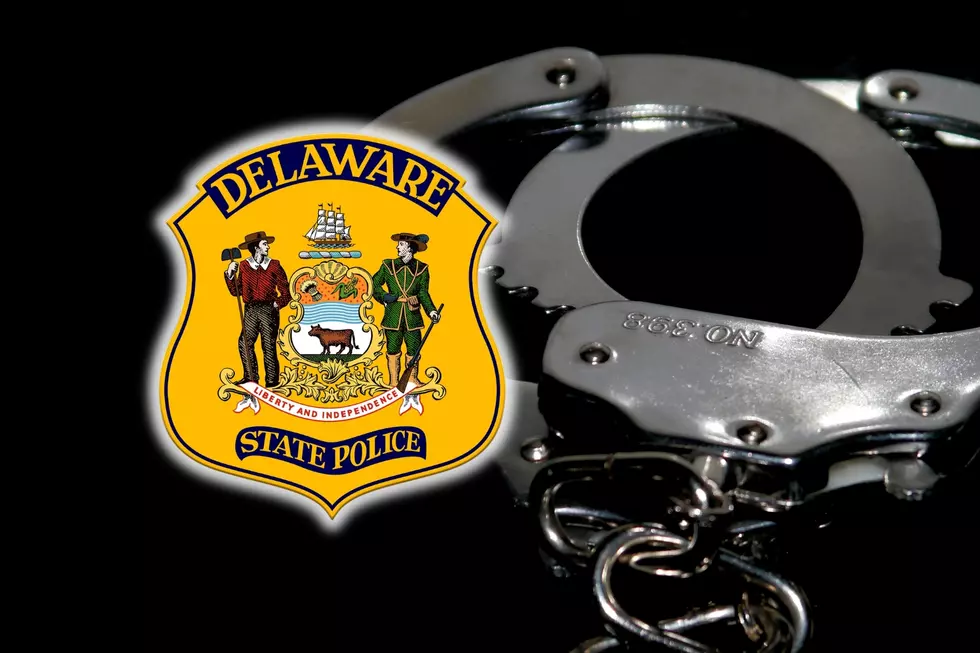 Adult, 3 Teens Charged After Police Chase, Crash on Route 1 in Delaware